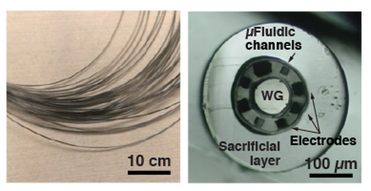 Multifunctional Neural Interfaces