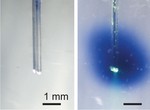 Controlling drug activity with light